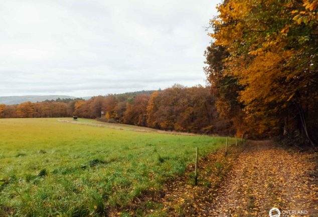 Traumschleife Marienberg - Wandern ab Boppard