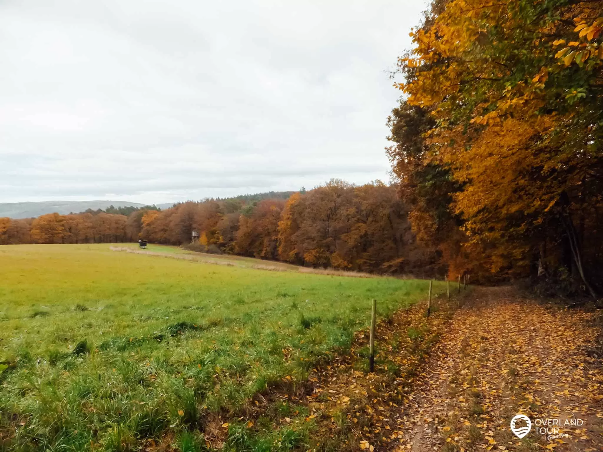 Traumschleife Marienberg - Wandern ab Boppard Traumschleife Marienberg: Kurz nachdem die Deutschen Alleenstraße überquert wurde
