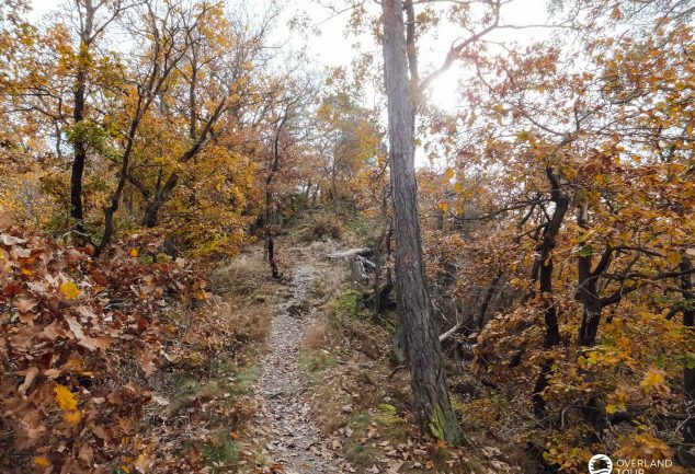 Traumschleife Marienberg - Wandern ab Boppard