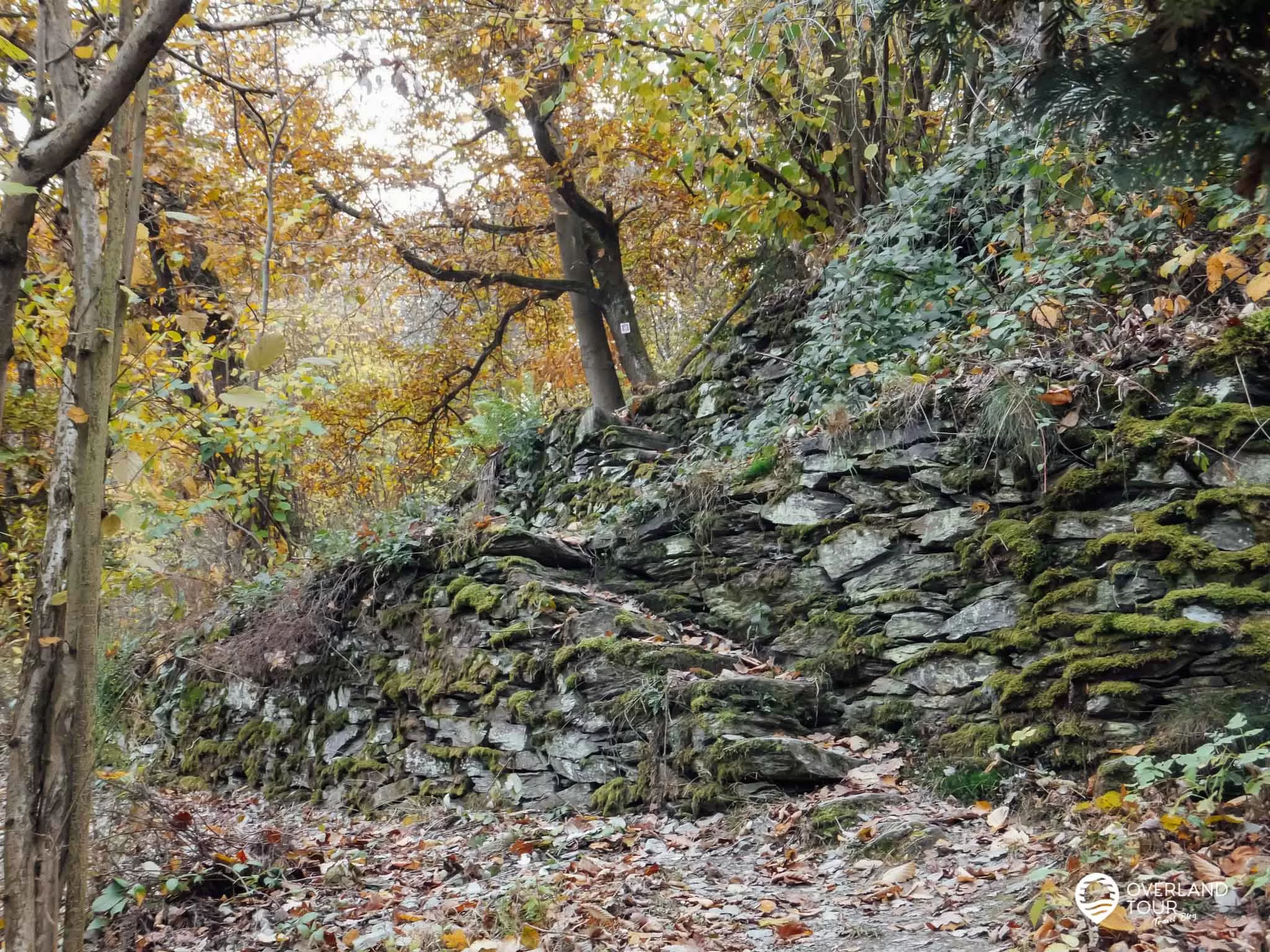 Traumschleife Marienberg - Wandern ab Boppard Traumschleife Marienberg: Auf verwegenen Pfaden am Hang der Traumschleife Marienberg entlang