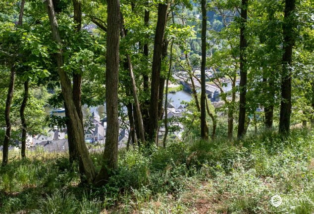 Der Lahnwanderweg Etappe 17 von Balduinstein nach Obernhof