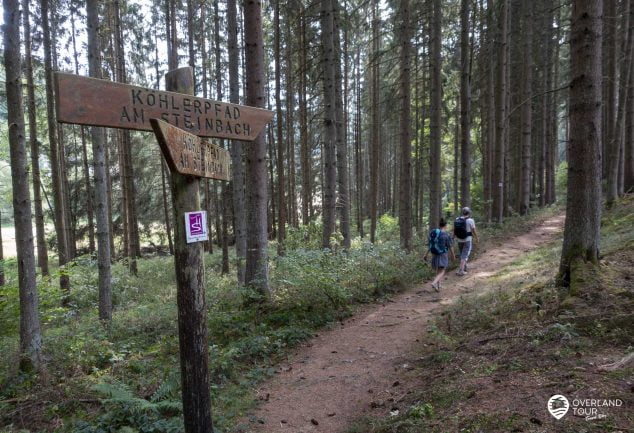 Wandertour Mörschieder Burr über den Felsenpfad und Wildenburg zur Rosselhalde im Nationalpark Hunsrück-Hochwald