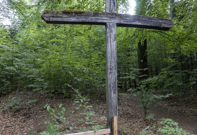 Die Traumschleife Börfinker Ochsentour im Herzen des Nationalpark Hunsrück-Hochwald