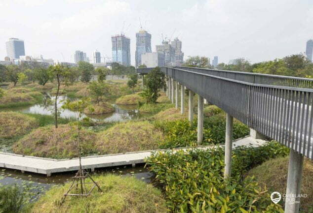 Entdecke die Oasen mitten in Bangkok: Green Mile - Benjakitti & Lumphini Park