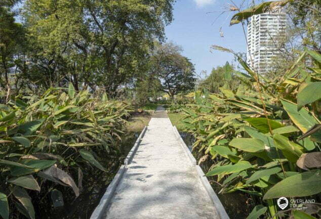 Entdecke die Oasen mitten in Bangkok: Green Mile - Benjakitti & Lumphini Park