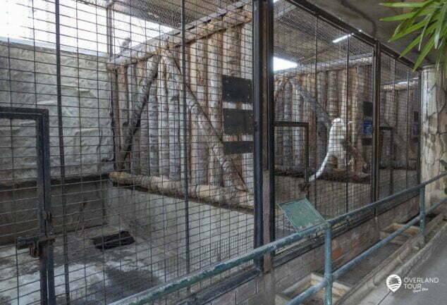 Pata Zoo ist der Horror & Tierquäler Zoo von Bangkok und einer der schlimmsten Zoos der Welt