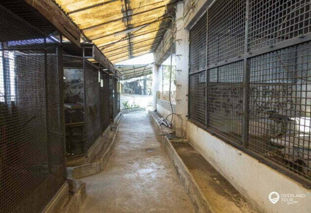 Pata Zoo ist der Horror & Tierquäler Zoo von Bangkok und einer der schlimmsten Zoos der Welt