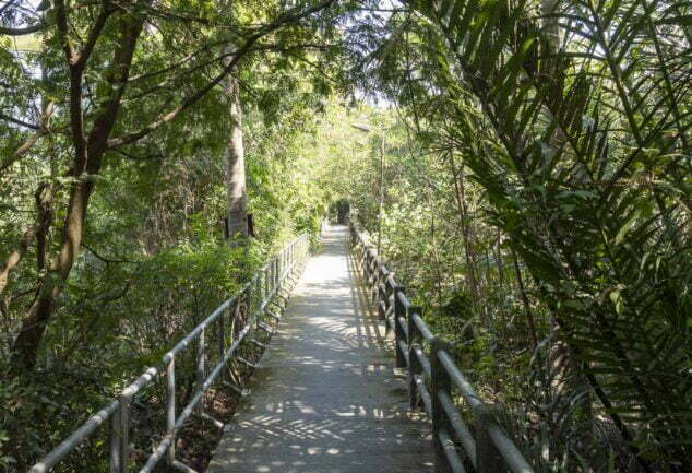 Si Nakhon Khuean Khan Park (Bang Krachao) & Botanical Garden – Bangkok