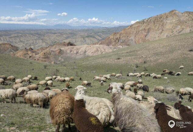 Wandern Armenien: Die besten Landschafts- und Berg-Touren im Urlaub ab Yerevan | Highland Expedition