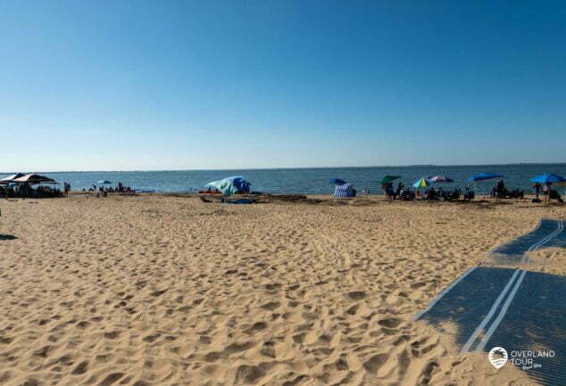 Kajakfahren mit Delfinen - Chesapean Bay Virginia Beach VA