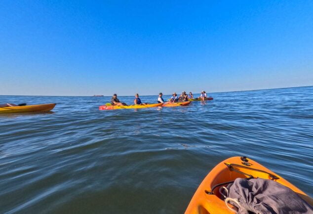 Kajakfahren mit Delfinen - Chesapean Bay Virginia Beach VA