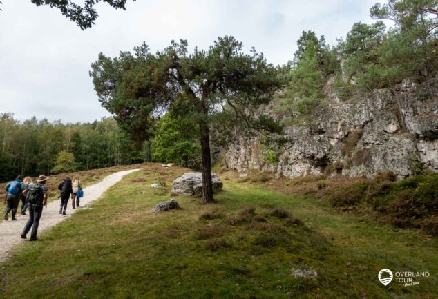 Wanderung Großer Pfahl: Bayerns Top-Geotop in Viechtach auf dem Pfahlrundweg