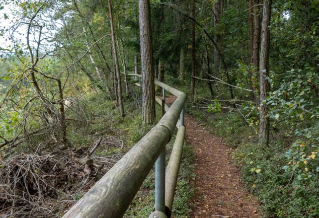 Wanderung Großer Pfahl: Bayerns Top-Geotop in Viechtach auf dem Pfahlrundweg