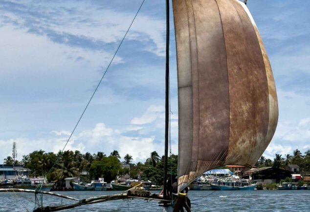 Entdecke Negombo´s Sehenswürdigkeiten mit dem Tuk Tuk