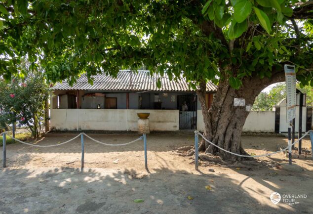 Entdecke Jaffnas Sehenswürdigkeiten per Tuk-Tuk