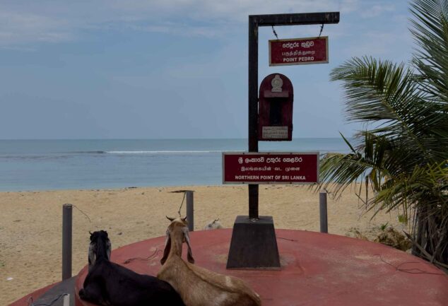 Entdecke Jaffnas Sehenswürdigkeiten per Tuk-Tuk