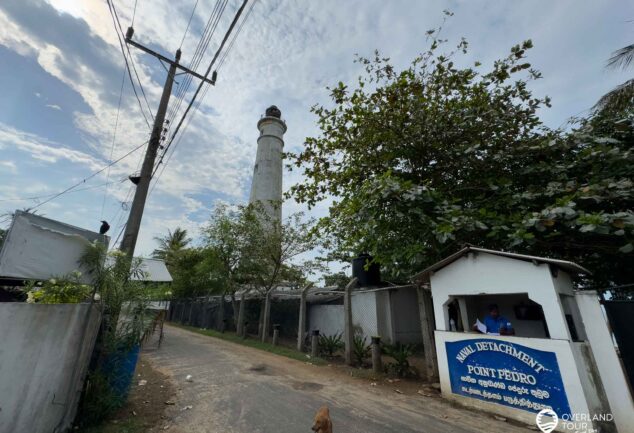 Entdecke Jaffnas Sehenswürdigkeiten per Tuk-Tuk