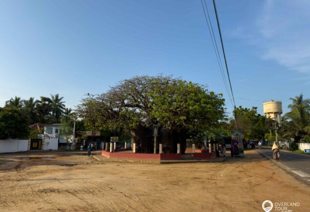 Mannar: Sehenswürdigkeiten, Geheimtipps & versteckte Schätze Sri Lankas