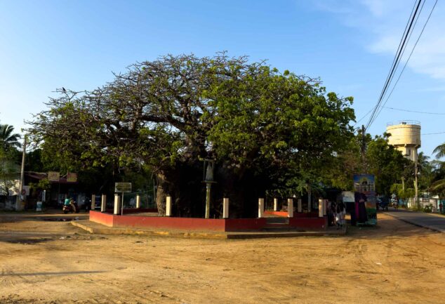 Mannar: Sehenswürdigkeiten, Geheimtipps & versteckte Schätze Sri Lankas