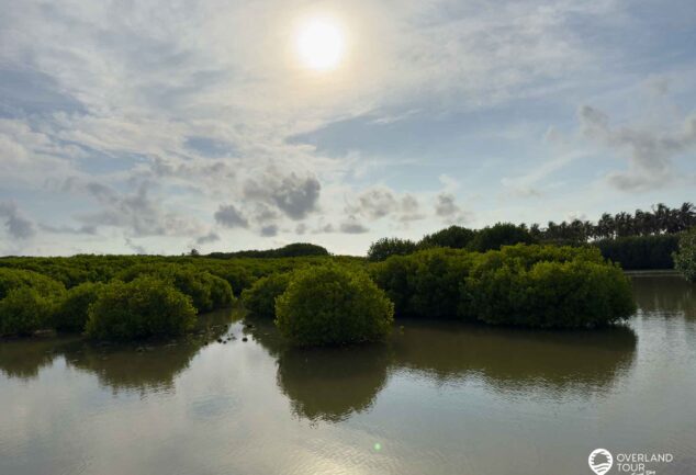 Puttalam & Kalpitiya entdecken – Abenteuer & Traumstrände