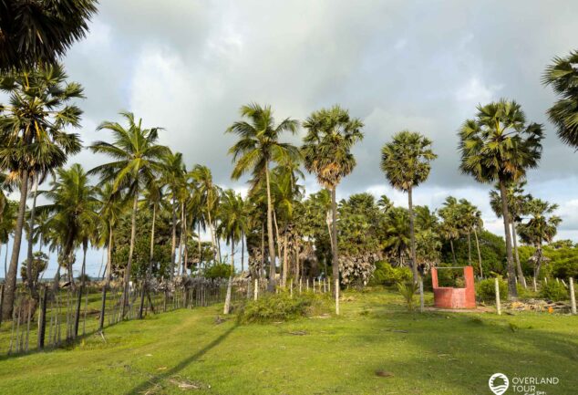 Puttalam & Kalpitiya entdecken – Abenteuer & Traumstrände