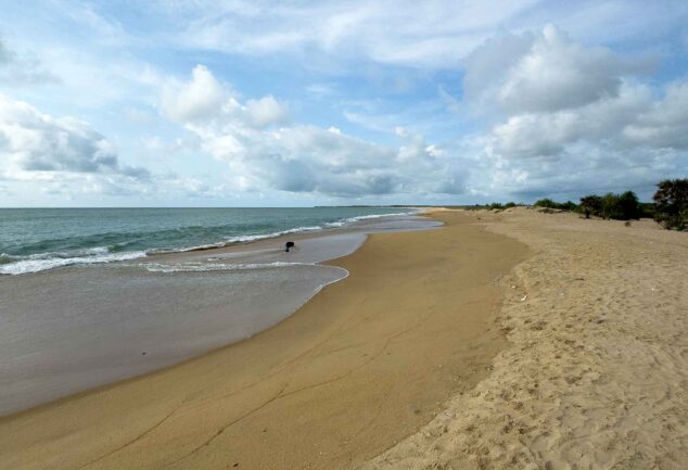 Puttalam & Kalpitiya entdecken – Abenteuer & Traumstrände
