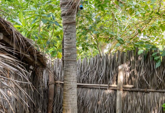 Puttalam & Kalpitiya entdecken – Abenteuer & Traumstrände