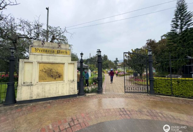 Nuwara Eliya: Ein Roadtrip ins mystische Hochland Sri Lankas