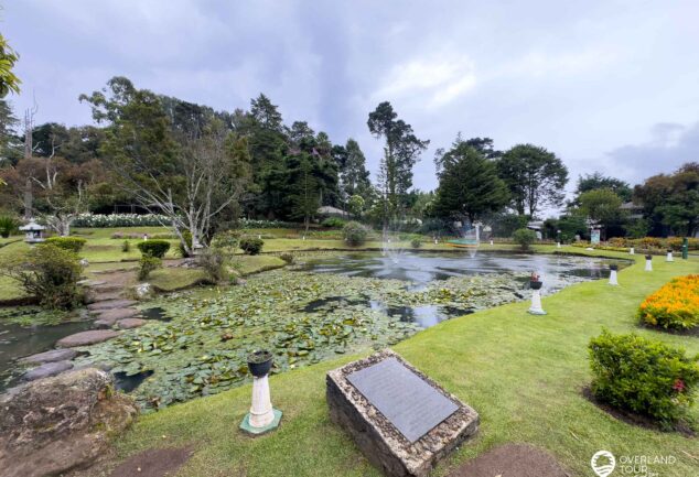 Nuwara Eliya: Ein Roadtrip ins mystische Hochland Sri Lankas