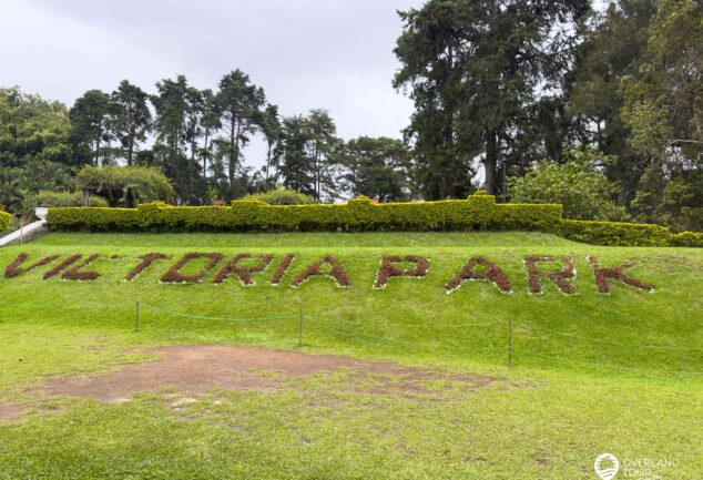 Nuwara Eliya: Ein Roadtrip ins mystische Hochland Sri Lankas