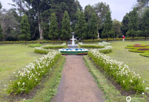 Nuwara Eliya: Ein Roadtrip ins mystische Hochland Sri Lankas