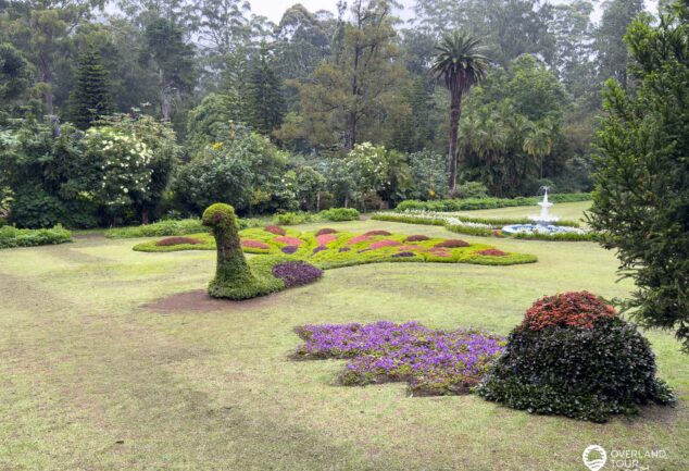 Nuwara Eliya: Ein Roadtrip ins mystische Hochland Sri Lankas