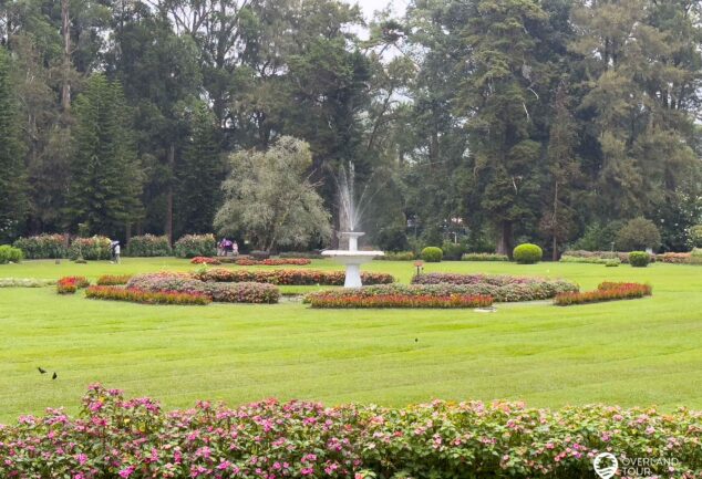 Nuwara Eliya: Ein Roadtrip ins mystische Hochland Sri Lankas