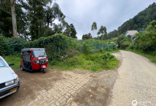 Nuwara Eliya: Ein Roadtrip ins mystische Hochland Sri Lankas