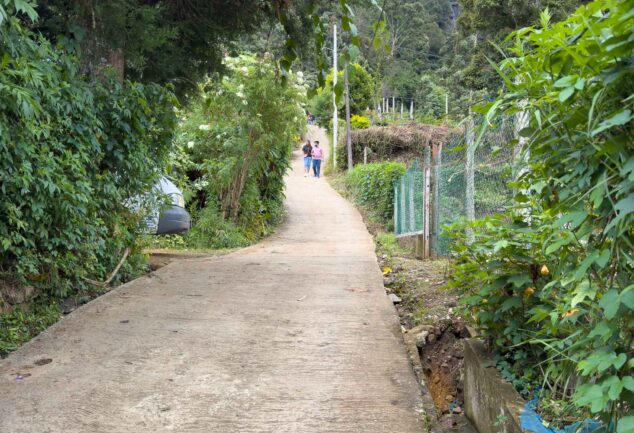 Nuwara Eliya: Ein Roadtrip ins mystische Hochland Sri Lankas