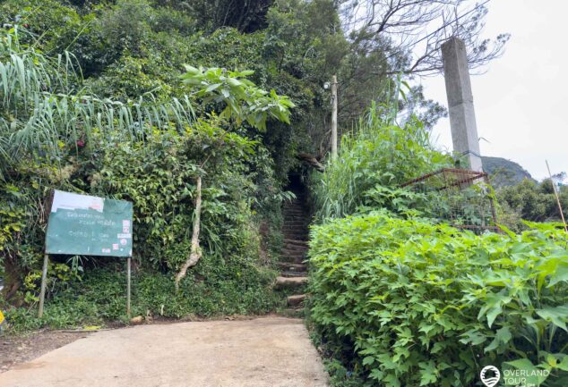 Nuwara Eliya: Ein Roadtrip ins mystische Hochland Sri Lankas