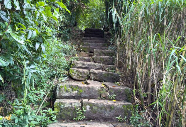 Nuwara Eliya: Ein Roadtrip ins mystische Hochland Sri Lankas