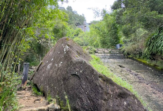Nuwara Eliya: Ein Roadtrip ins mystische Hochland Sri Lankas