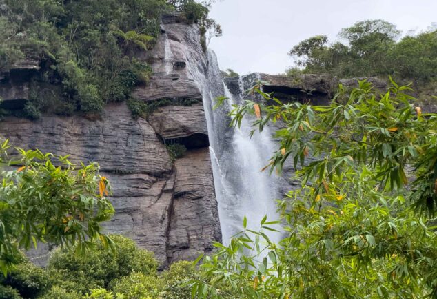 Nuwara Eliya: Ein Roadtrip ins mystische Hochland Sri Lankas