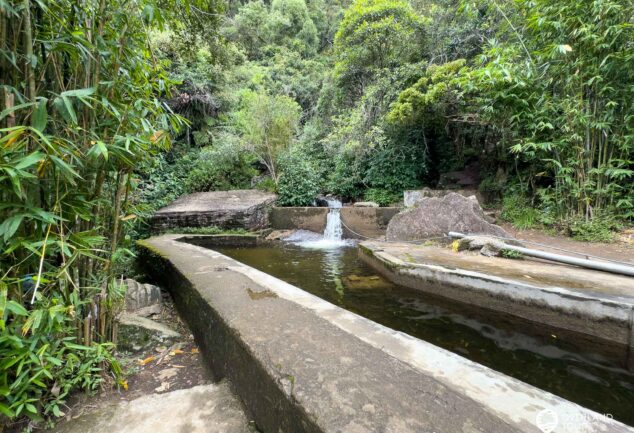 Nuwara Eliya: Ein Roadtrip ins mystische Hochland Sri Lankas