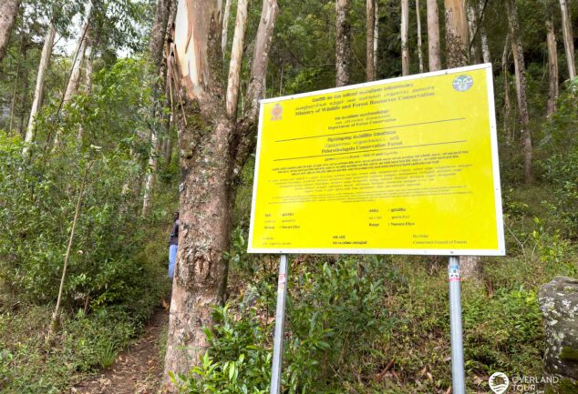 Nuwara Eliya: Ein Roadtrip ins mystische Hochland Sri Lankas