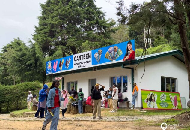 Nuwara Eliya: Ein Roadtrip ins mystische Hochland Sri Lankas