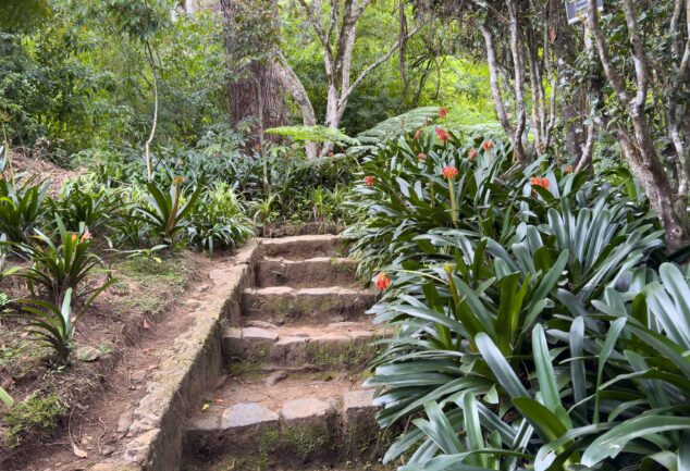 Nuwara Eliya: Ein Roadtrip ins mystische Hochland Sri Lankas