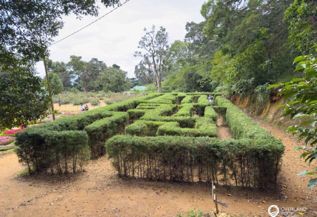 Nuwara Eliya: Ein Roadtrip ins mystische Hochland Sri Lankas