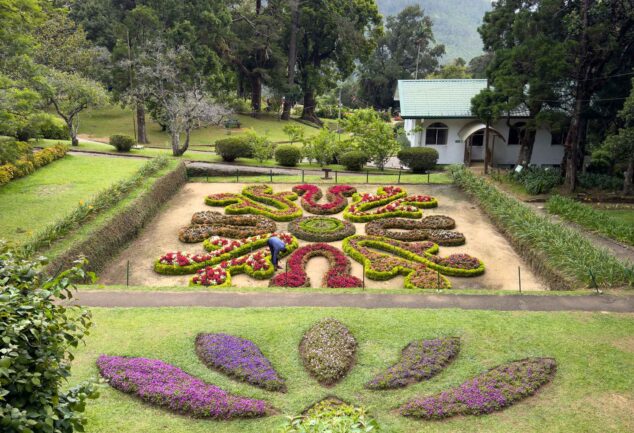 Nuwara Eliya: Ein Roadtrip ins mystische Hochland Sri Lankas