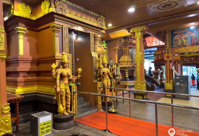 Nuwara Eliya: Ein Roadtrip ins mystische Hochland Sri Lankas