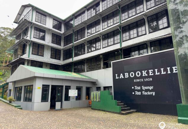 Nuwara Eliya: Ein Roadtrip ins mystische Hochland Sri Lankas
