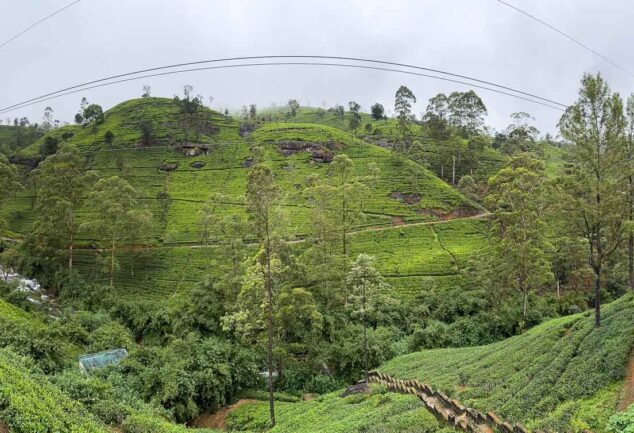 Nuwara Eliya: Ein Roadtrip ins mystische Hochland Sri Lankas