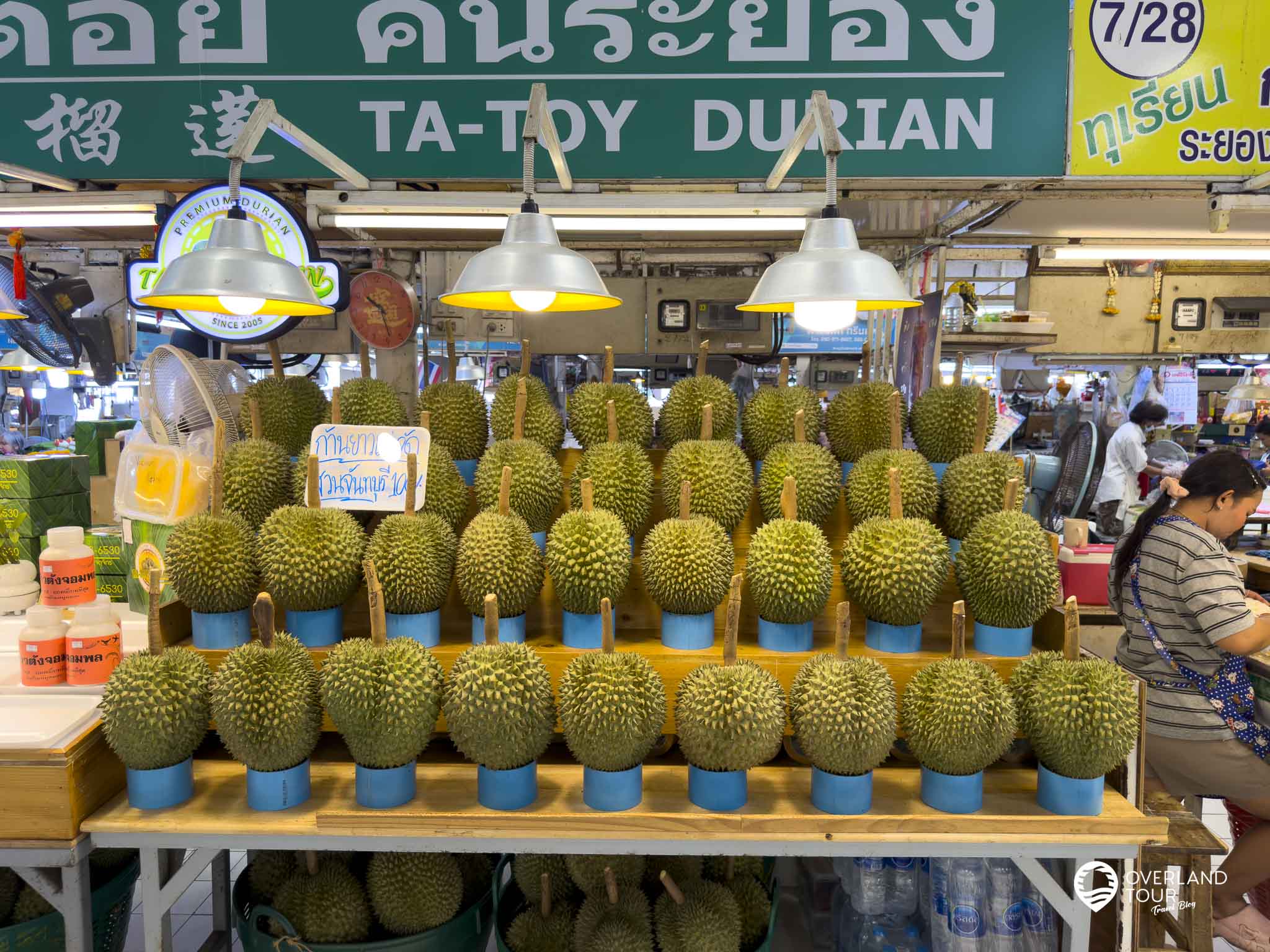 Dein Durian-Abenteuer Bangkok: Die Mutprobe für Genießer Or Tor Kor Market - Die Durian Parade