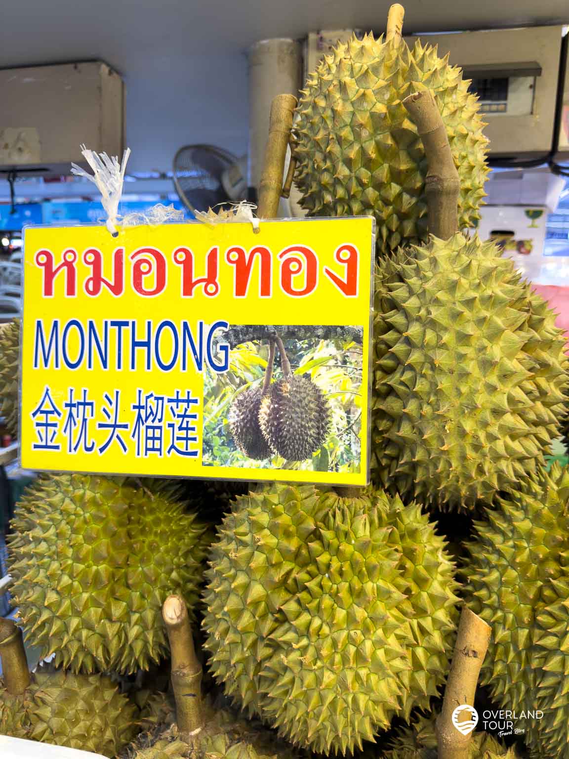 Dein Durian-Abenteuer Bangkok: Die Mutprobe für Genießer Die Monthong (thailändisch für „Goldenes Kissen“) ist die mit Abstand bekannteste und am häufigsten exportierte Durian-Sorte Thailands
